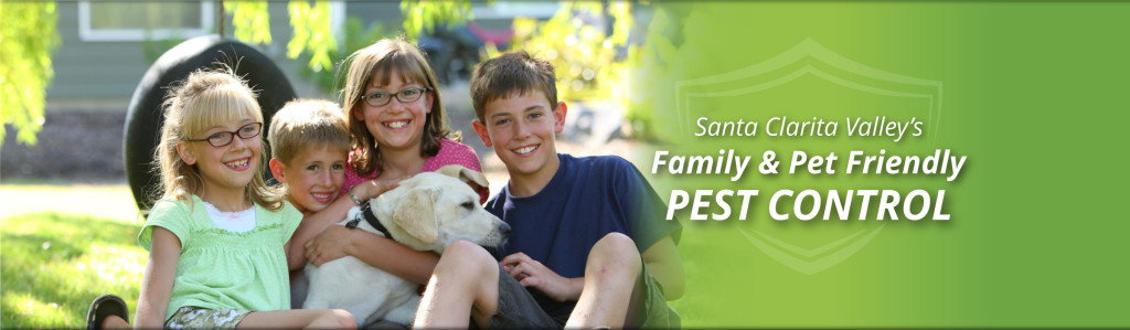 no bugs santa clarita valley's family & pet friendly pest control