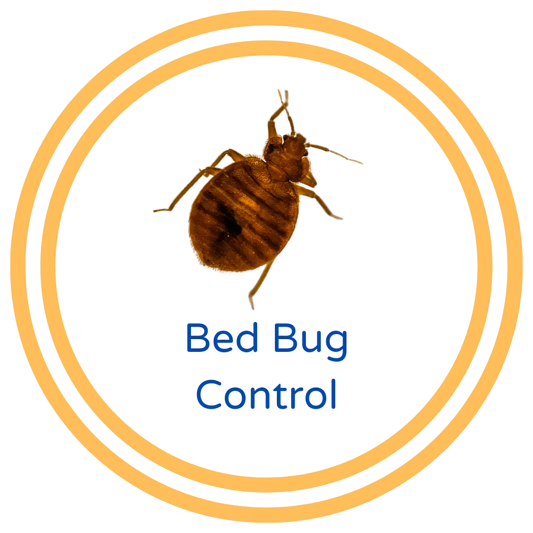 Santa Clarita Bed Bug Control