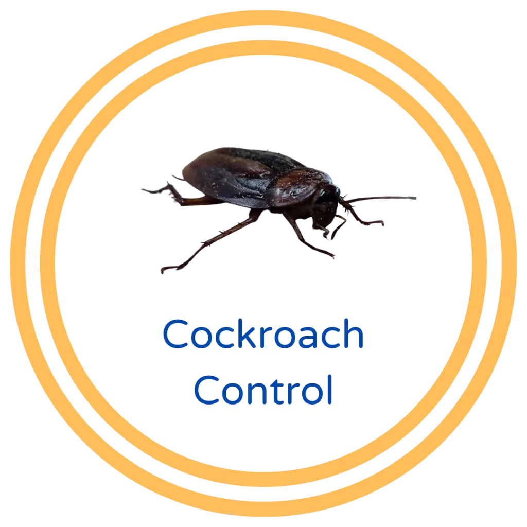 Santa Clarita Cockroach Control