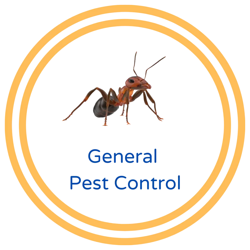 Santa Clarita General Pest Control