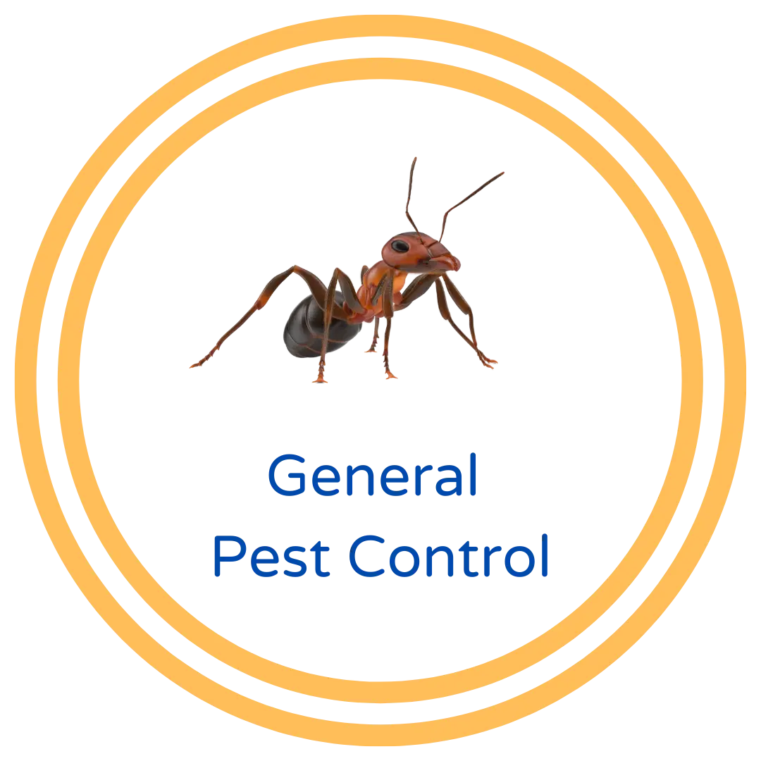 Santa Clarita General Pest Control