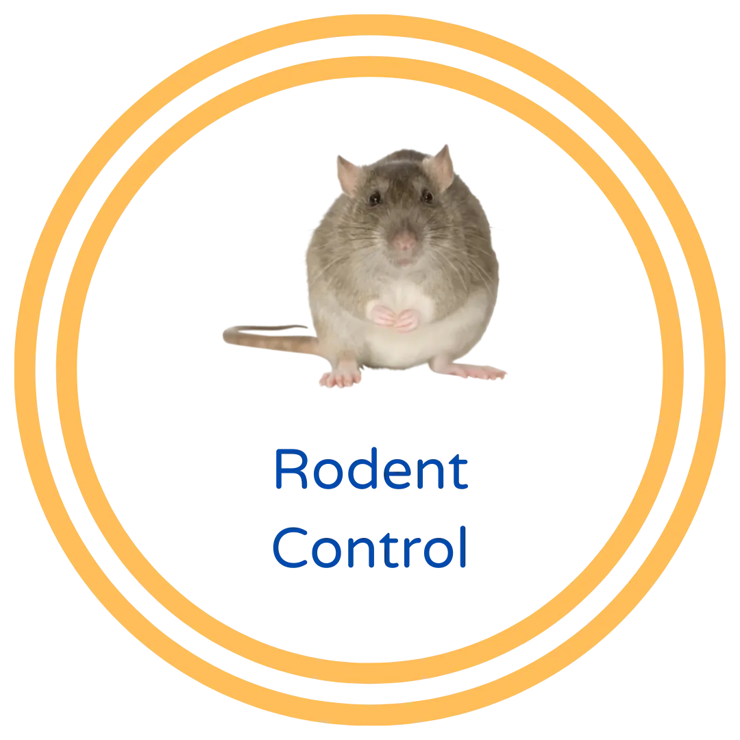 Santa Clarita Rodent Control