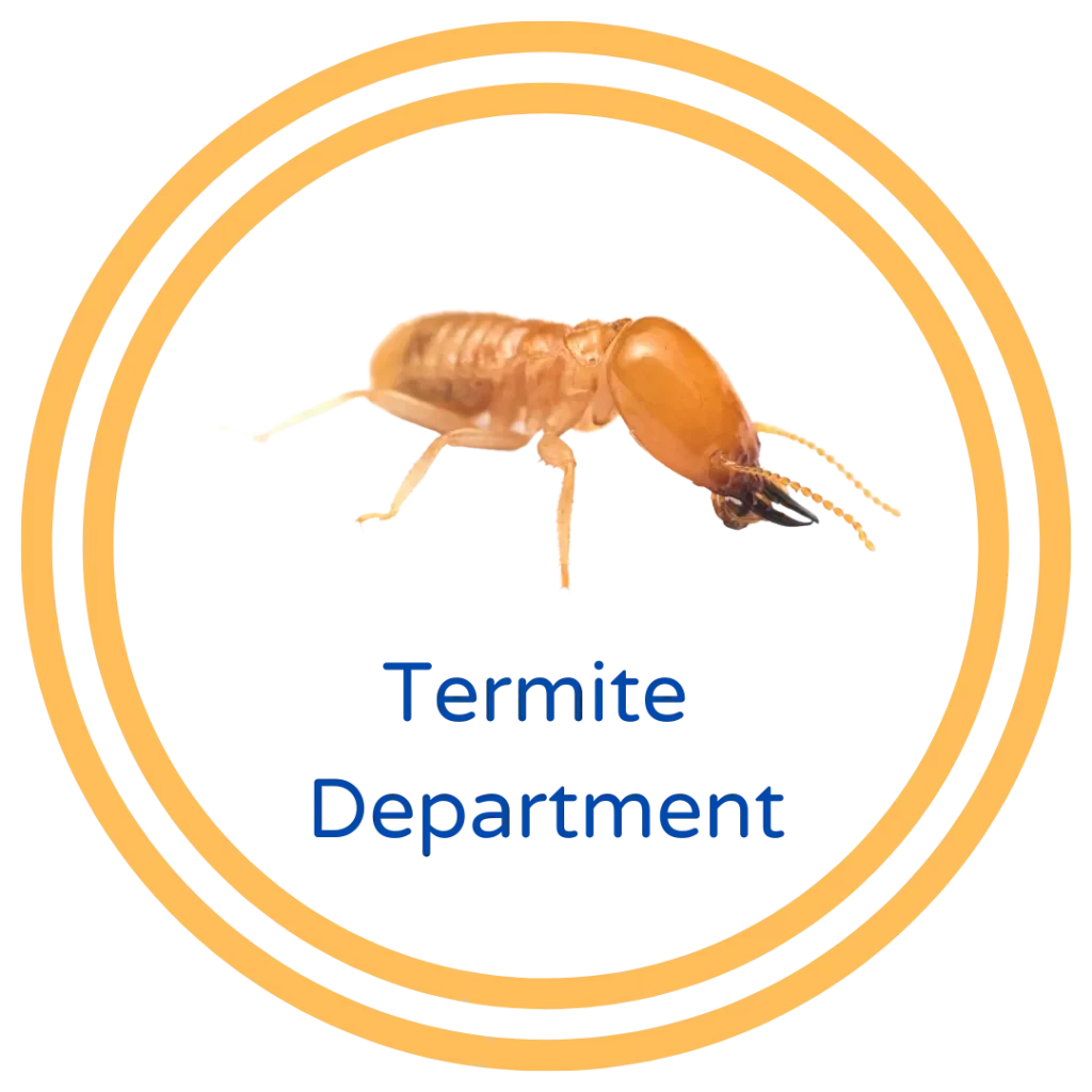 Santa Clarita Termite & Fumigation Services