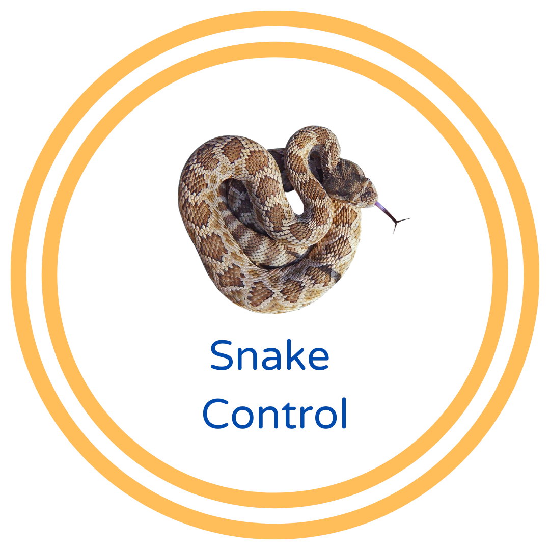 Snake Control & Fencing