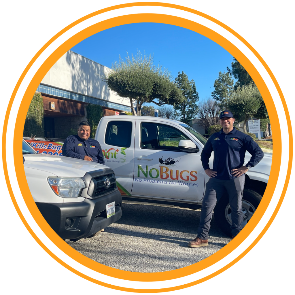Image of No Bugs technicians and their vehicles.