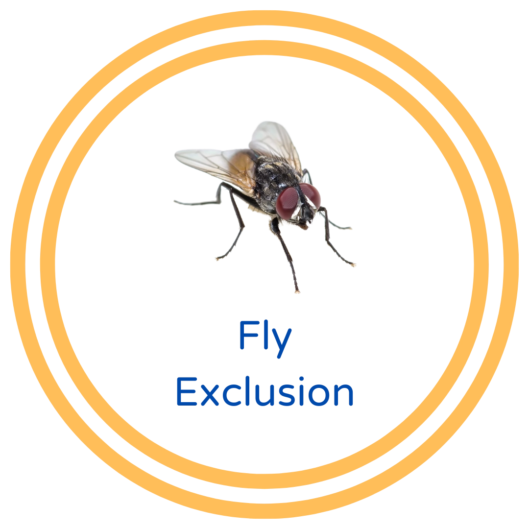 Fly Exclusion