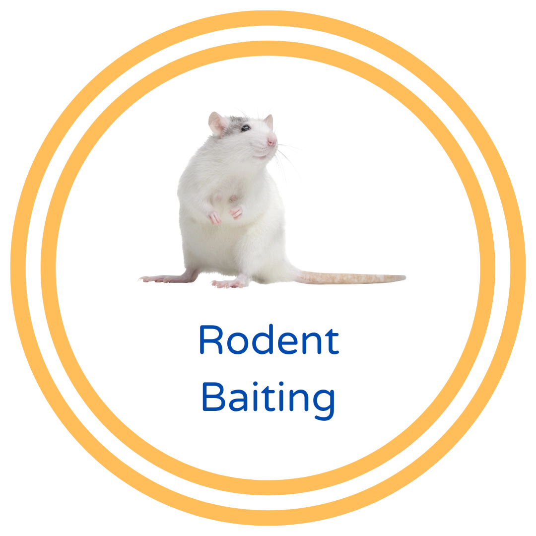 Rodent Baiting