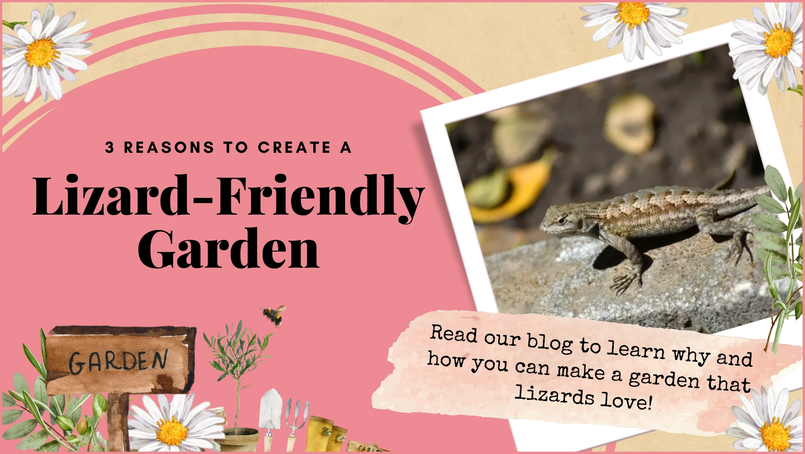 Are Lizards Good For My Garden