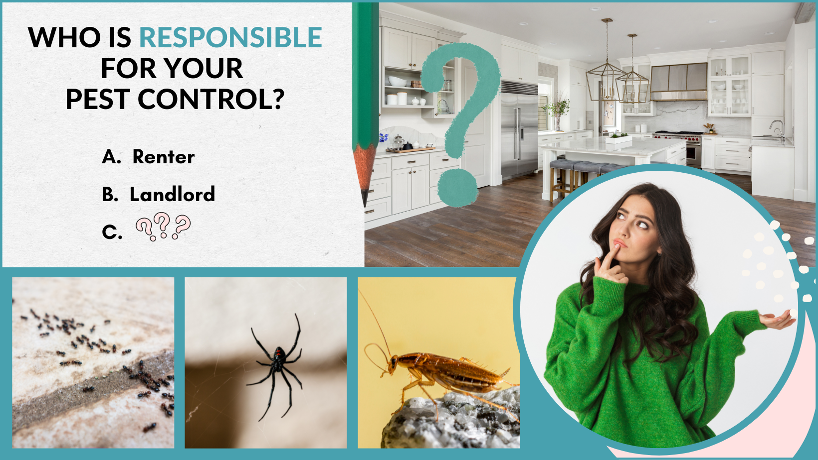 Pest Control Rental Responsibilities