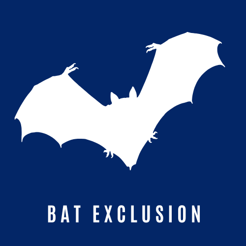 Bat Exclusion Icon
