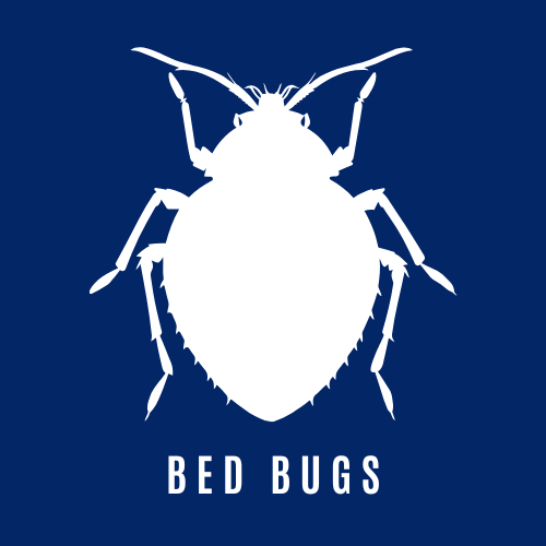 Bed Bug Control Icon