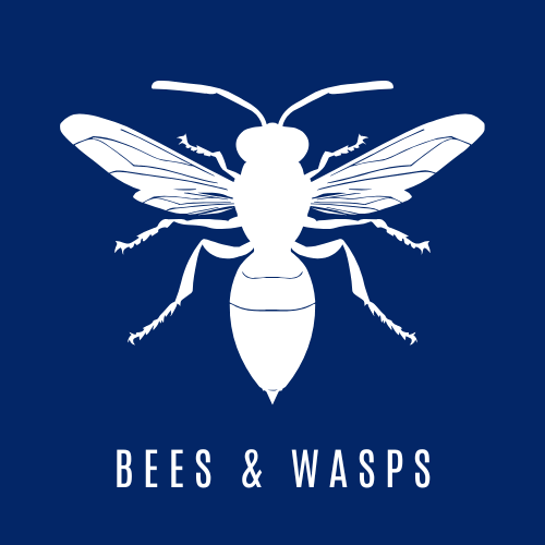 Bee & Wasp Control Icon