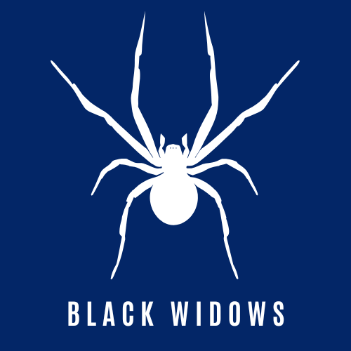 Black Widow Control Icon - No Bugs