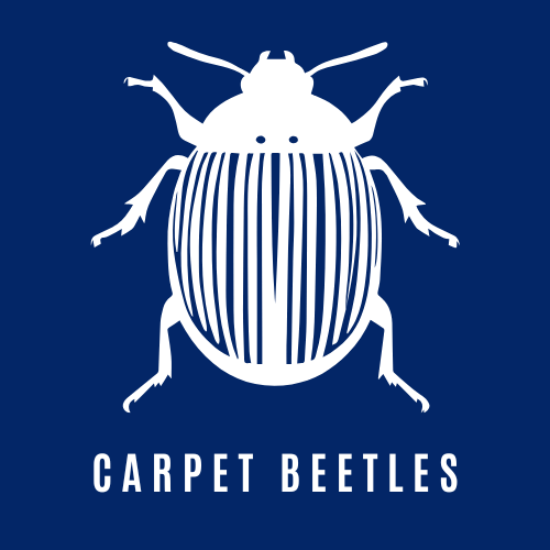 Carpet Beetle Control Icon