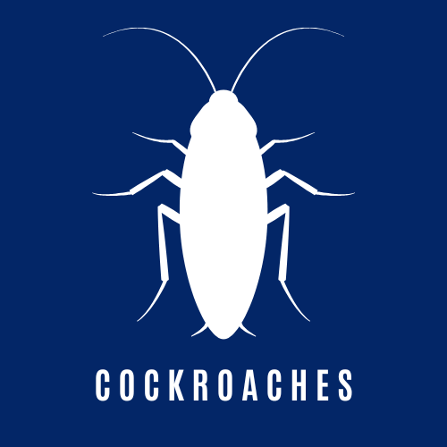 German Cockroach Control Icon
