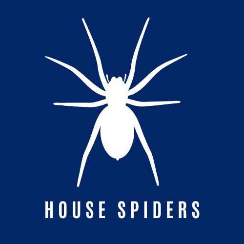 House Spider Control Icon