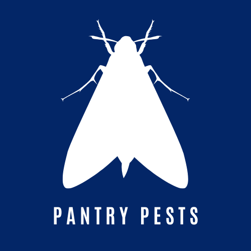 Pantry Pest Control Icon