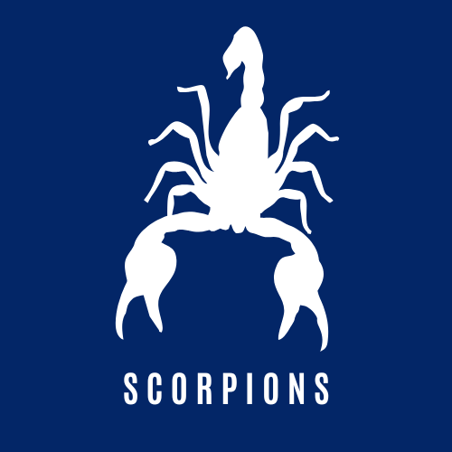 Scorpion Control Icon
