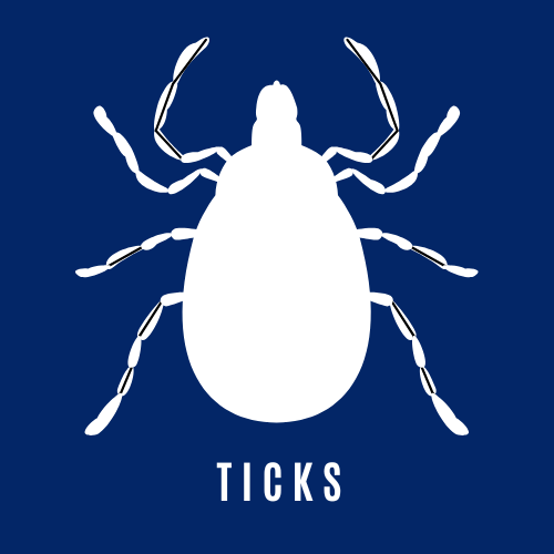 Tick Control Icon
